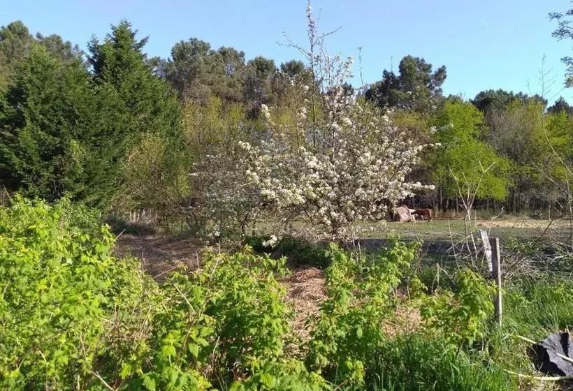 Aamiaismajoitus (B&B) Elevage Du Plec