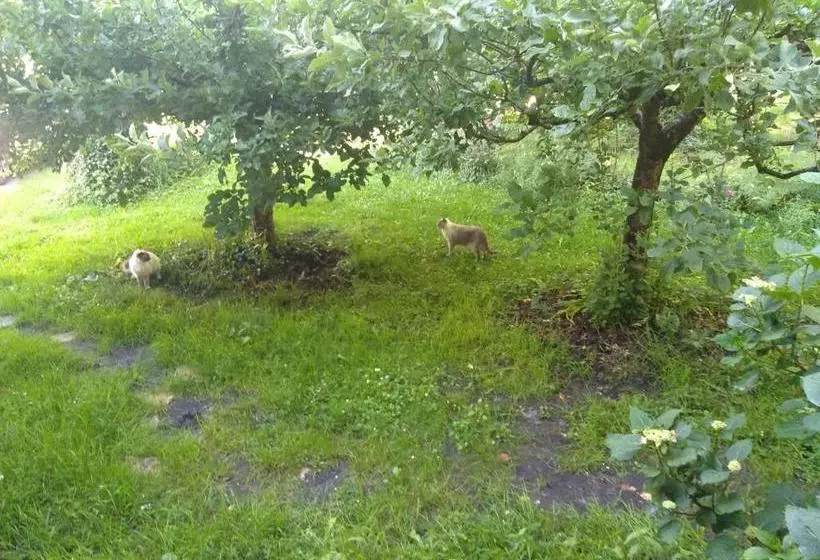 Aamiaismajoitus (B&B) Elevage Du Plec