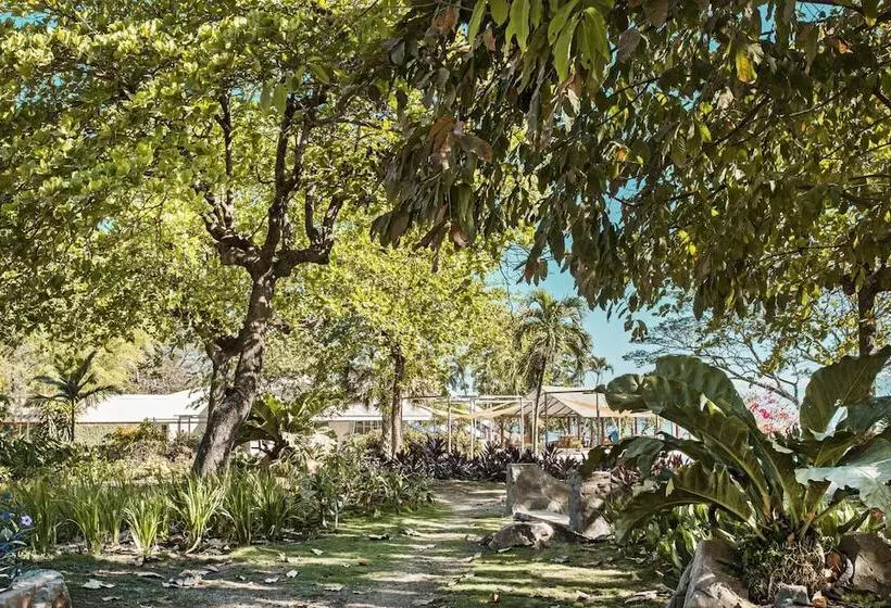 Opacifico Hotel Boutique