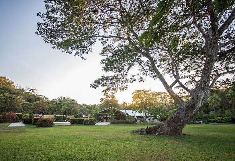 Opacifico Hotel Boutique