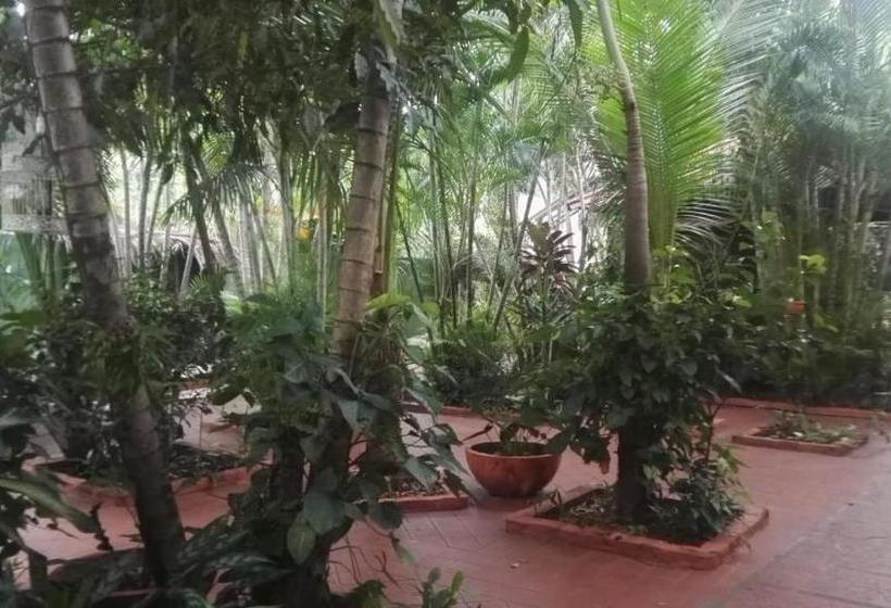 هتل Residencial Pinocho