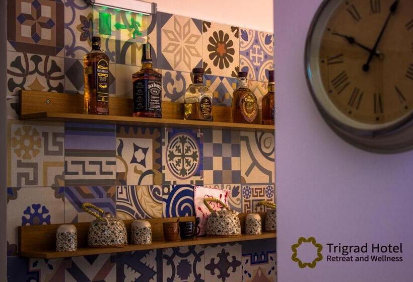 Отель Trigrad