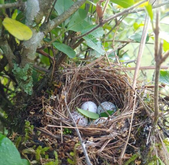 ペンション Pousada Recanto Da Vitória