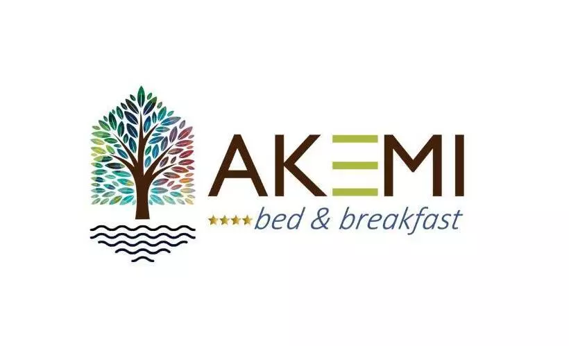Akemi B&b