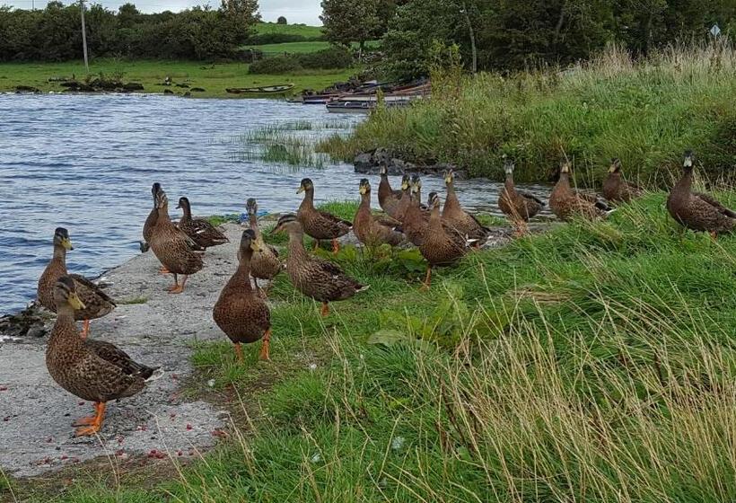 ベッドアンドブレックファースト Leroy´s Lodge
