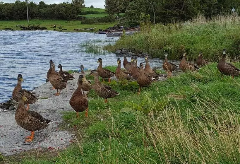 ベッドアンドブレックファースト Leroy´s Lodge