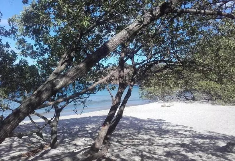 تختخواب و صبحانه Villa Sueño Potrero
