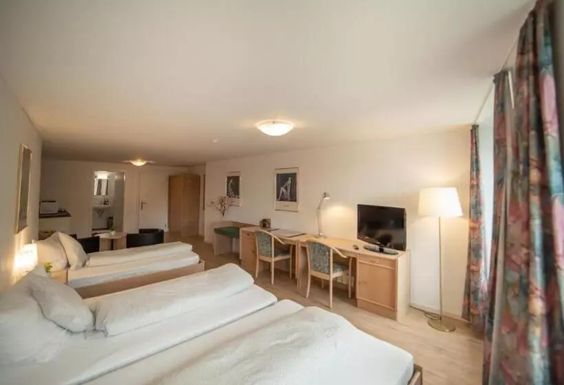 ホテル Mokka Laufenburg