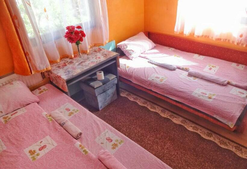 پانسیون Virmal