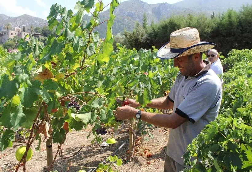 Retkeilymaja Bellapais Gardens