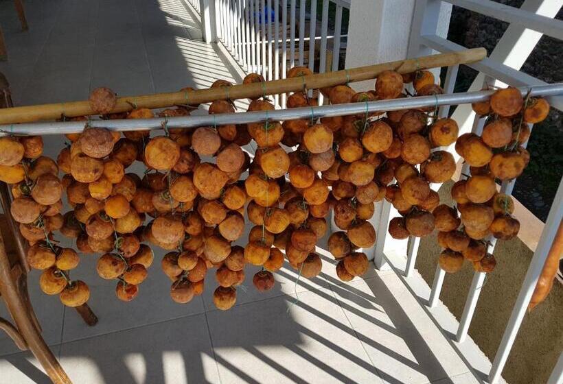 هاستل White House In Kakheti Eniseli