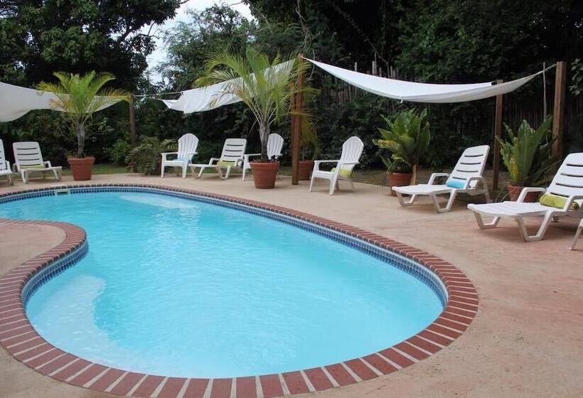 تختخواب و صبحانه Casa De Tortuga