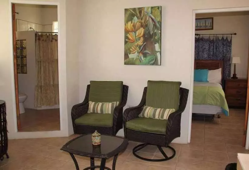 تختخواب و صبحانه Casa De Tortuga