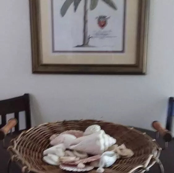 تختخواب و صبحانه Casa De Tortuga