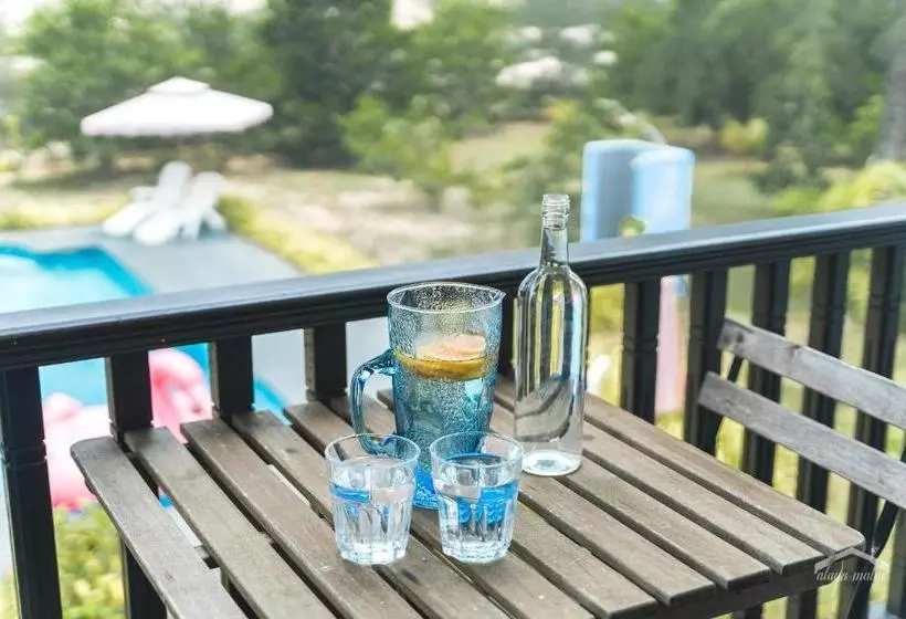 Aamiaismajoitus (B&B) Alaya Malai