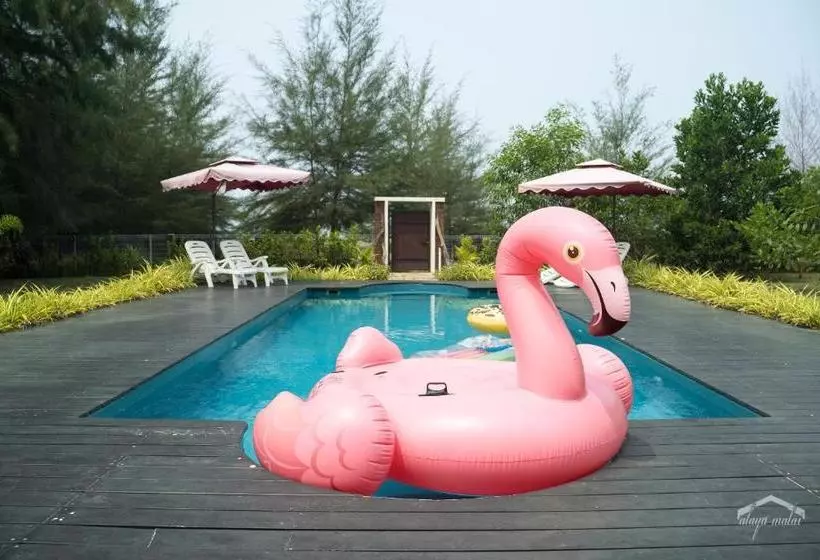 Aamiaismajoitus (B&B) Alaya Malai