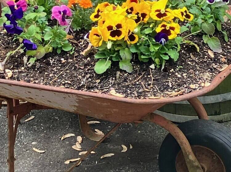 The Ashe Farm Bed & Breakfast