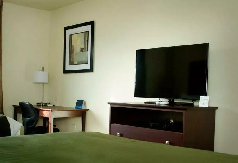 ホテル Cobblestone Inn & Suites   Soda Springs