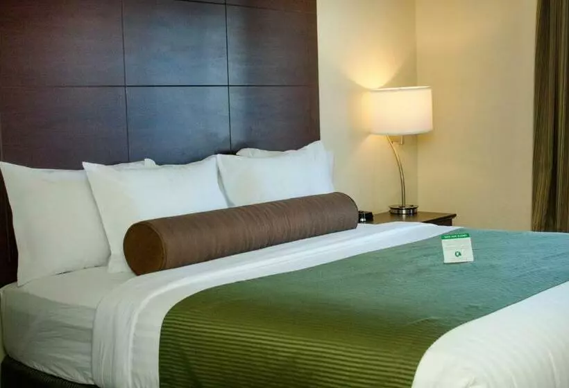 ホテル Cobblestone Inn & Suites   Soda Springs