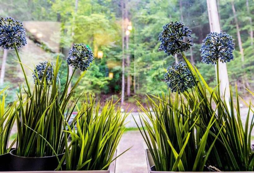 هتل Complex Ancora