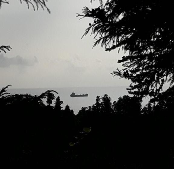 پانسیون House Dea Dea