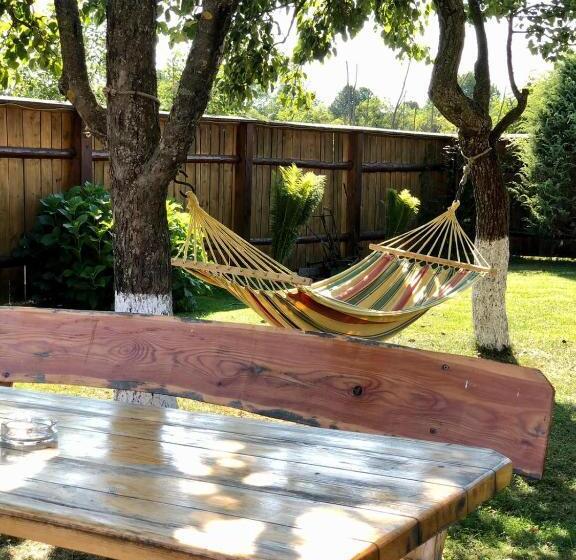 Pensiunea Bujor De Munte