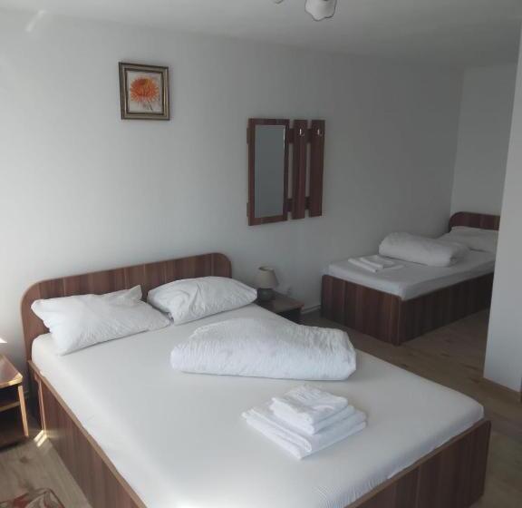 Pensiunea Bujor De Munte