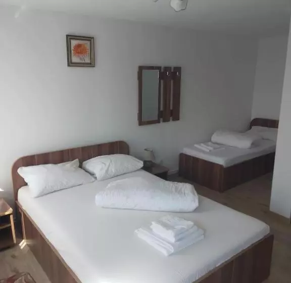 Pensiunea Bujor De Munte