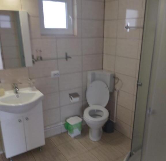 Pensiunea Bujor De Munte