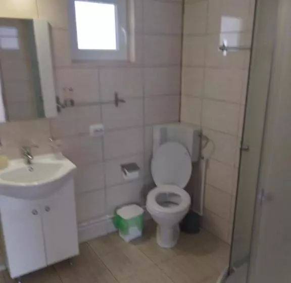 Pensiunea Bujor De Munte