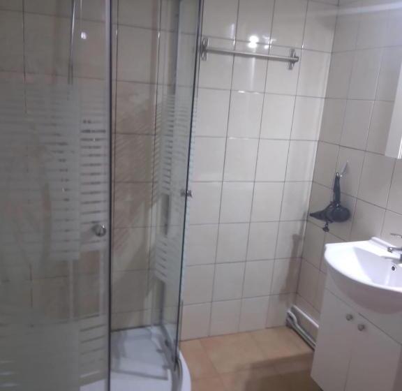 Pensiunea Bujor De Munte