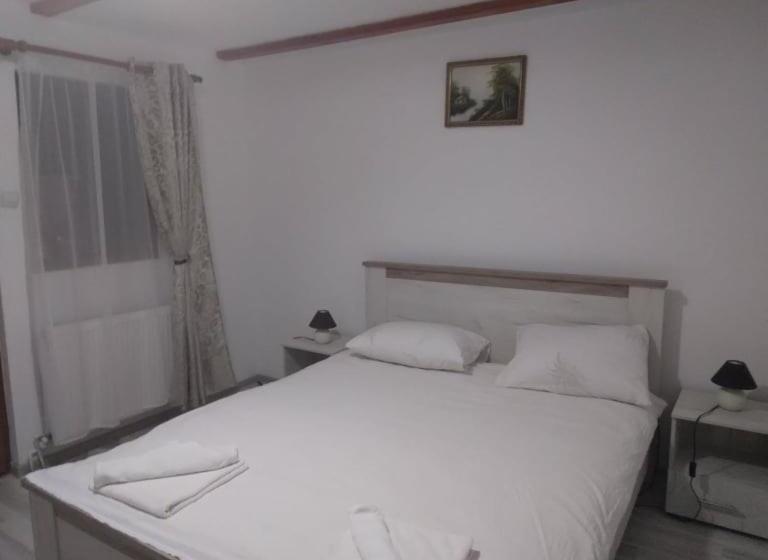 Pensiunea Bujor De Munte