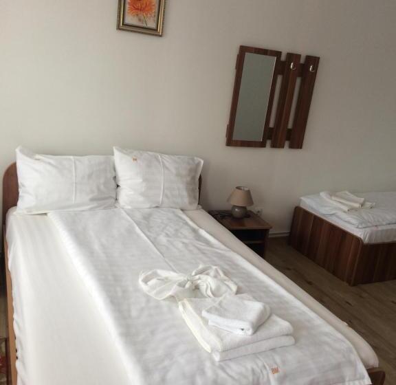 Pensiunea Bujor De Munte