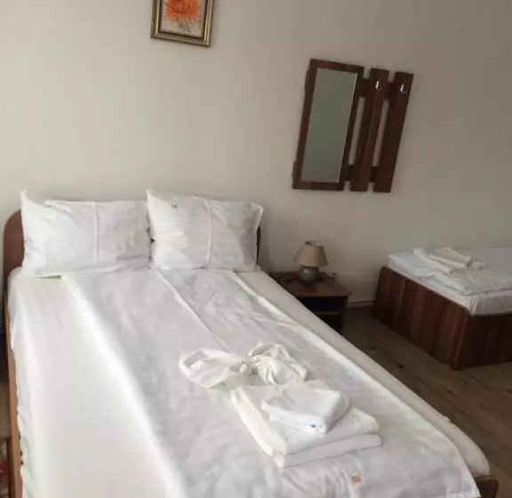 Pensiunea Bujor De Munte