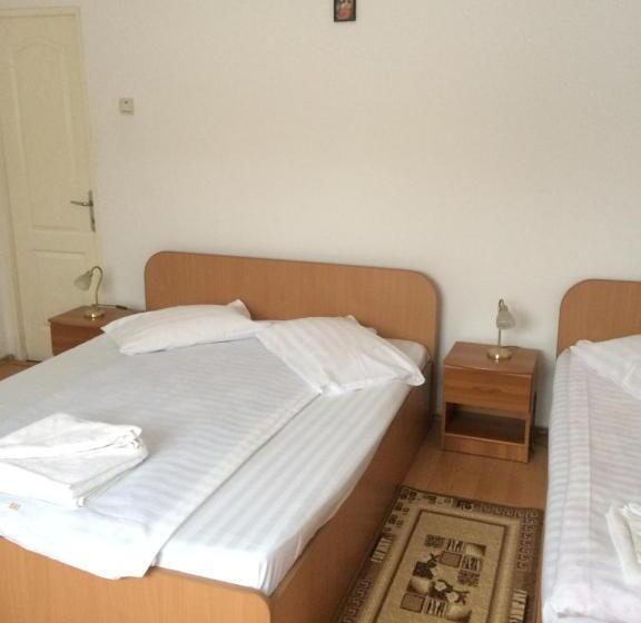 Pensiunea Bujor De Munte