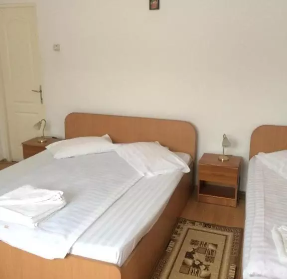 Pensiunea Bujor De Munte