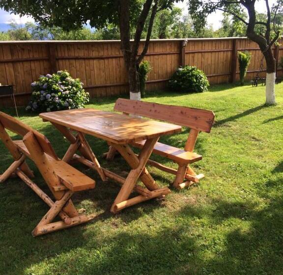 Pensiunea Bujor De Munte