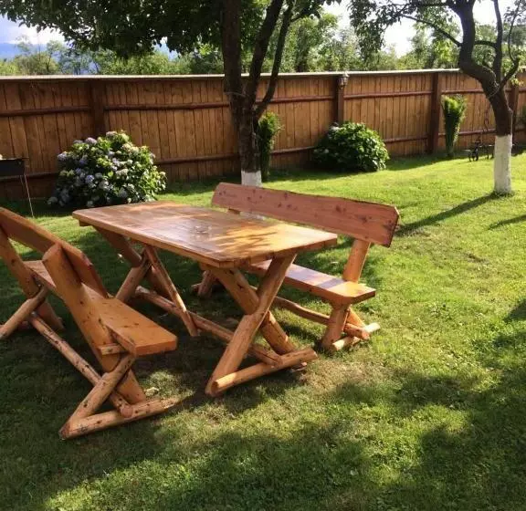 Pensiunea Bujor De Munte