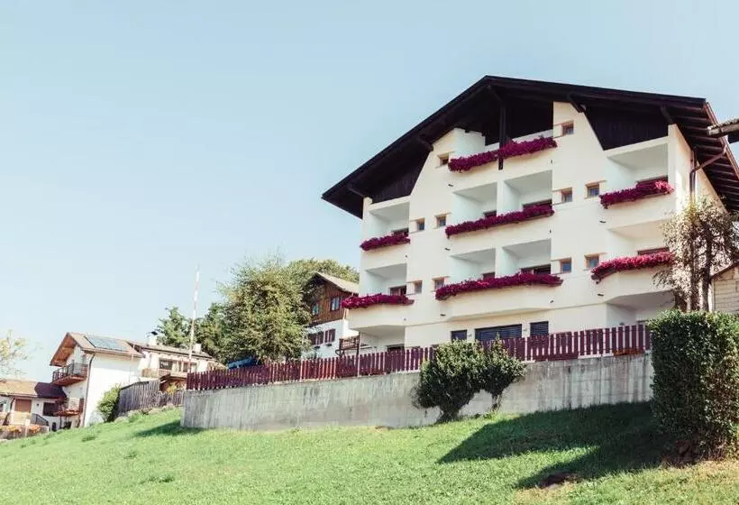 ユースホステル Pension Stern