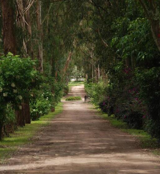 Bed and Breakfast Hacienda Suescún   300 Años De Historia