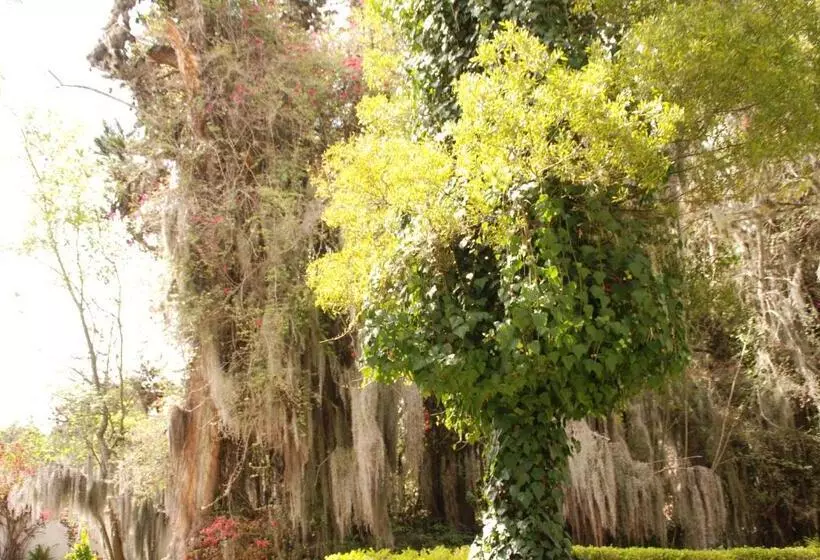 Aamiaismajoitus (B&B) Hacienda Suescún   300 Años De Historia