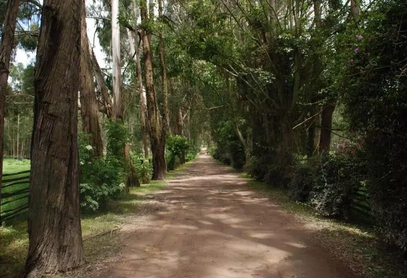 Aamiaismajoitus (B&B) Hacienda Suescún   300 Años De Historia