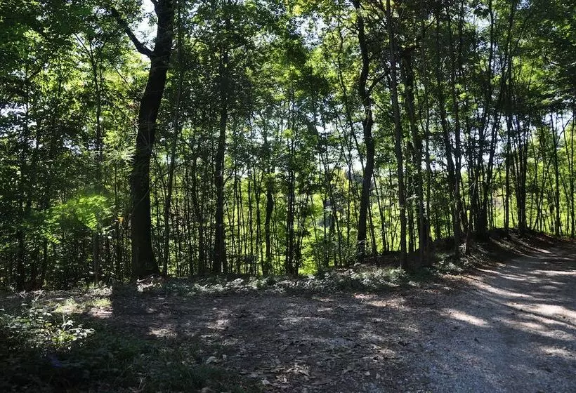 ベッドアンドブレックファースト Villa Fior Di Robinia