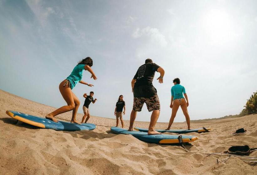 Hotel Viajero Tayrona Hostel & Ecohabs