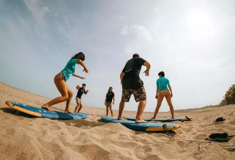 Hotelli Viajero Tayrona Hostel & Ecohabs