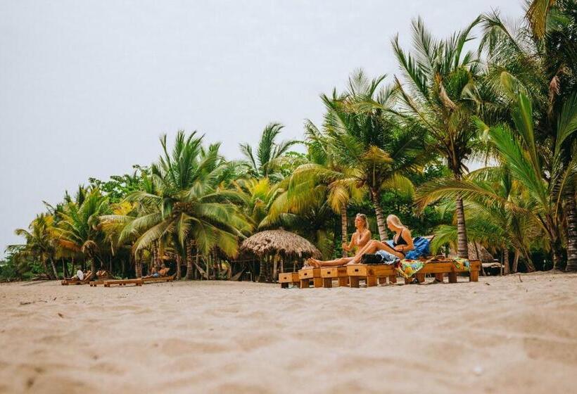 Hotel Viajero Tayrona Hostel & Ecohabs