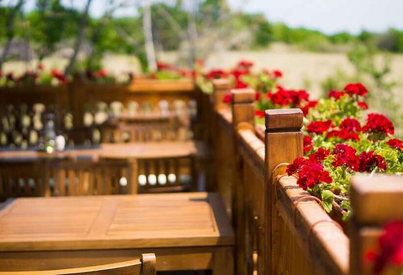 בית מלון כפרי Wine & Spa Complex Starosel