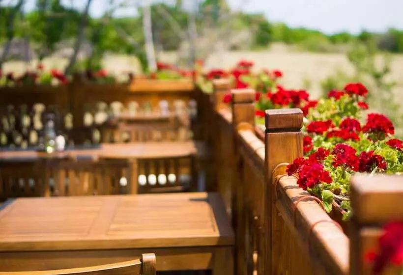 Hotelli Wine & Spa Complex Starosel