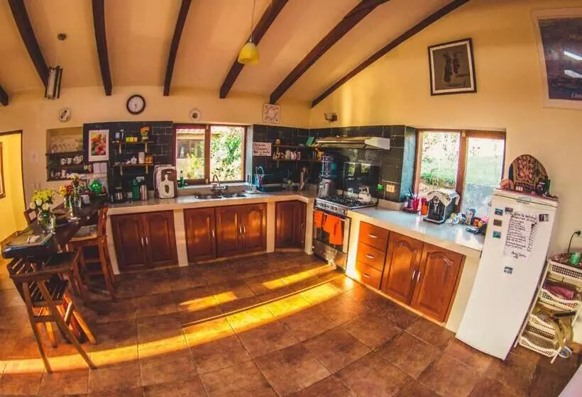 پانسیون Hostel Serena