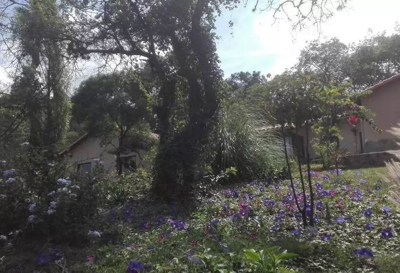 پانسیون Hostel Serena